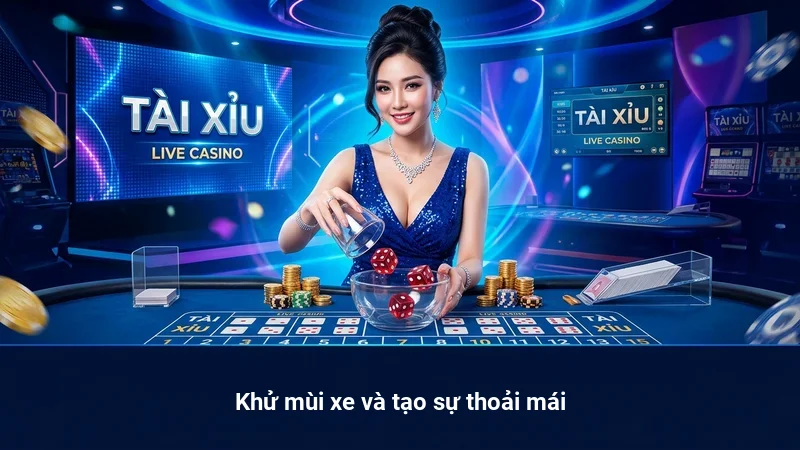 Khử mùi xe và tạo sự thoải mái